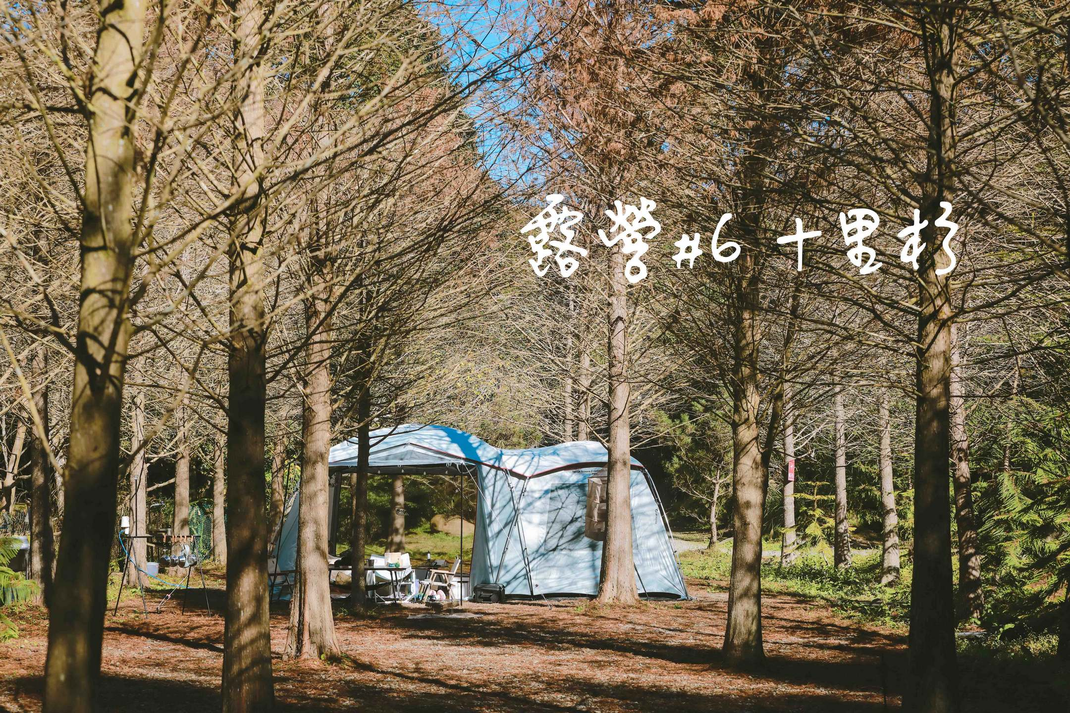 苗栗 南庄｜十里杉露營區